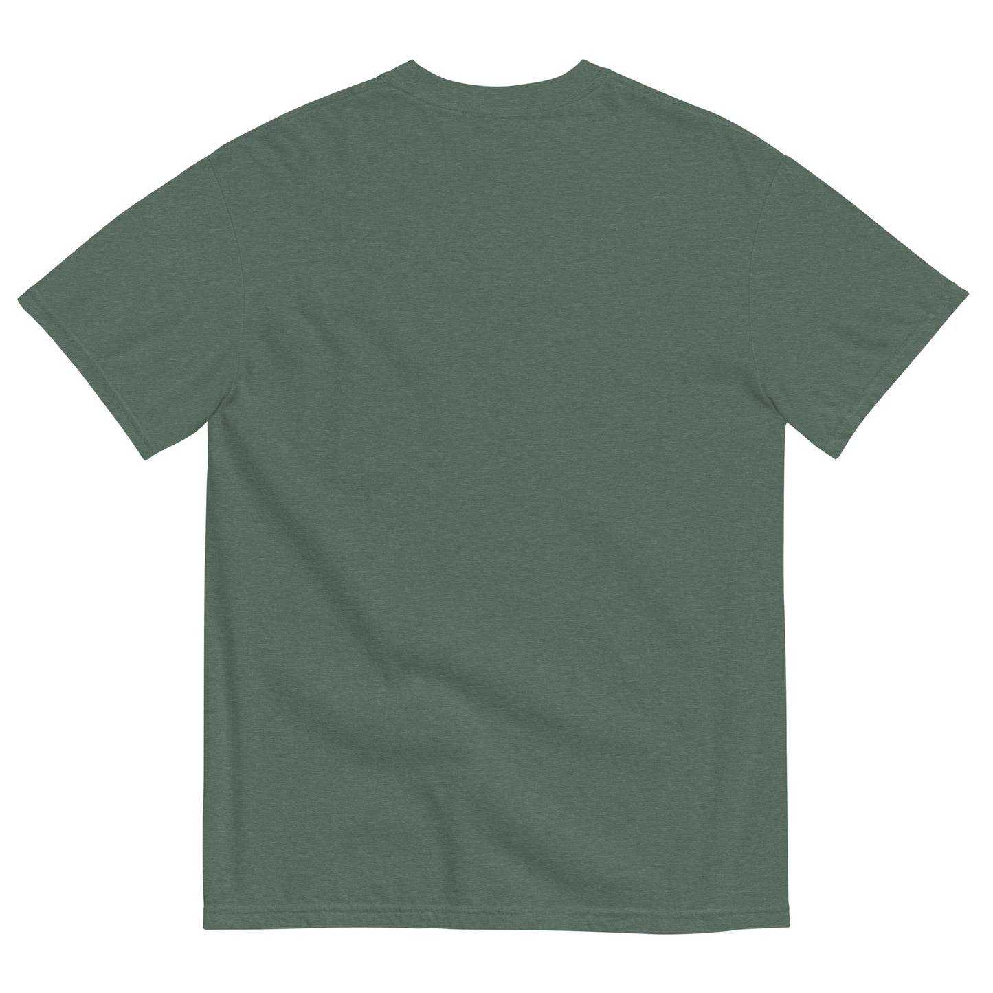 Colorful Chickens t-shirt
